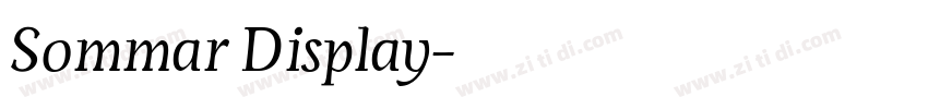 Sommar Display字体转换